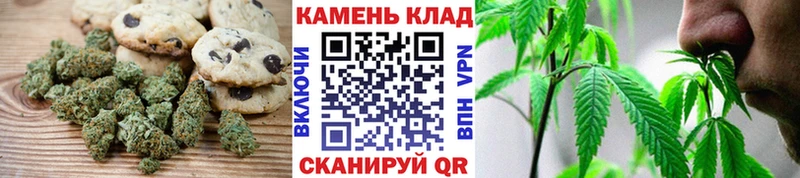 где купить наркоту  Короча  Печенье с ТГК конопля 