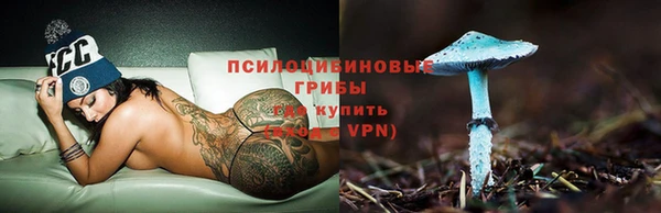 шишки Бугульма