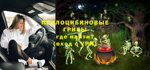 шишки Бугульма