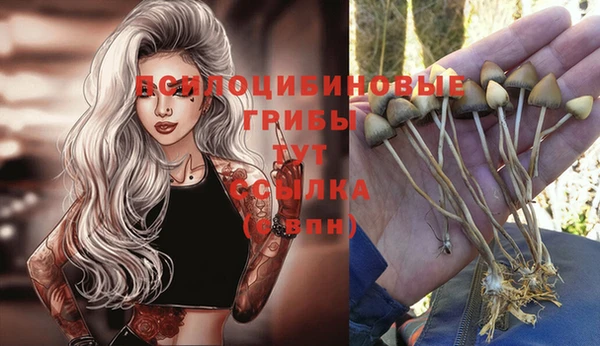 apvp Слюдянка