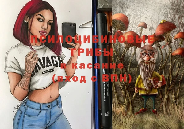 шишки Бугульма